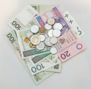 budżet domowy